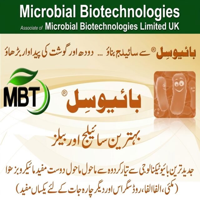 BIOSIL® Silage Inoculant